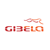 GIBELA RESEARCH CHAIR, TSHWANE UNIVERSITY OF TECHNOLOGY, PRETORIA, SOUTH AFRICA Image